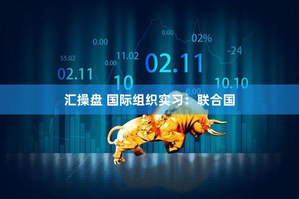 汇操盘 国际组织实习：联合国
