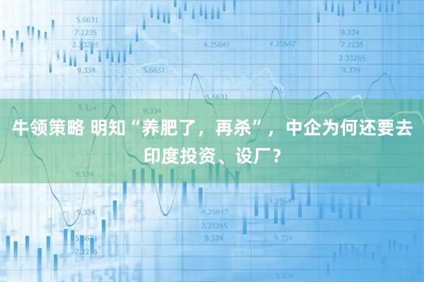 牛领策略 明知“养肥了，再杀”，中企为何还要去印度投资、设厂？