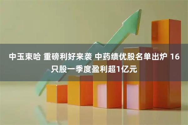 中玉束哈 重磅利好来袭 中药绩优股名单出炉 16只股一季度盈利超1亿元