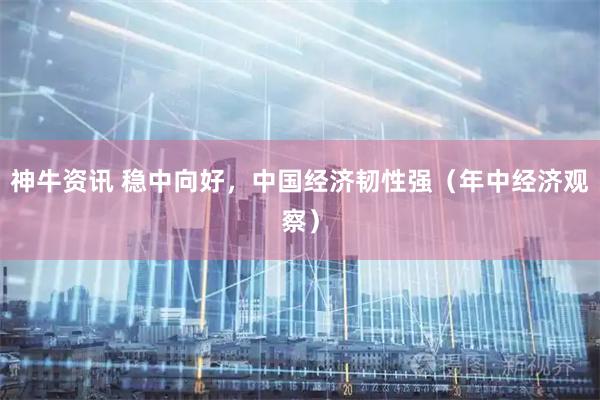神牛资讯 稳中向好，中国经济韧性强（年中经济观察）